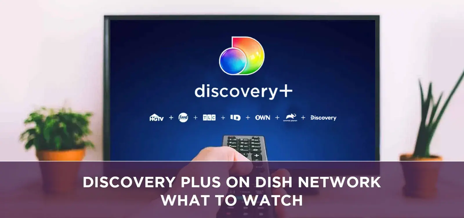 Discovery Plus ON DISH Network WHAT TO WATCH